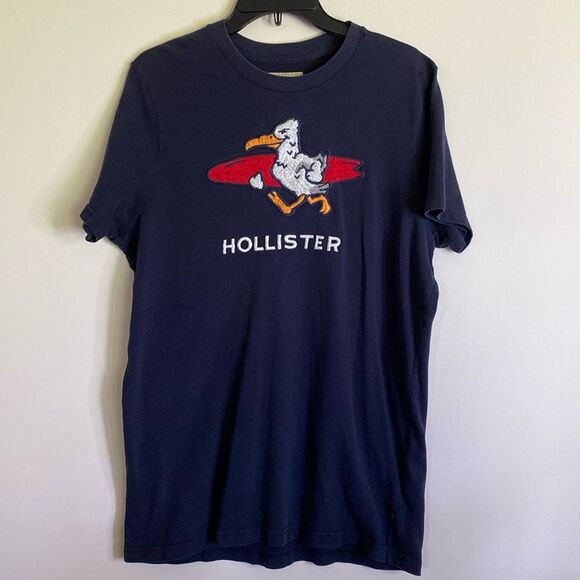 Hollister Embroidered Large Surf Duck - Picture 1 of 5